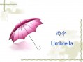 关于mr.umbrella下载的信息