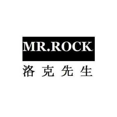 洛克先生mr.rock（洛克先生小说）  第1张